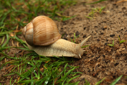 753610 (a): :2500x1674